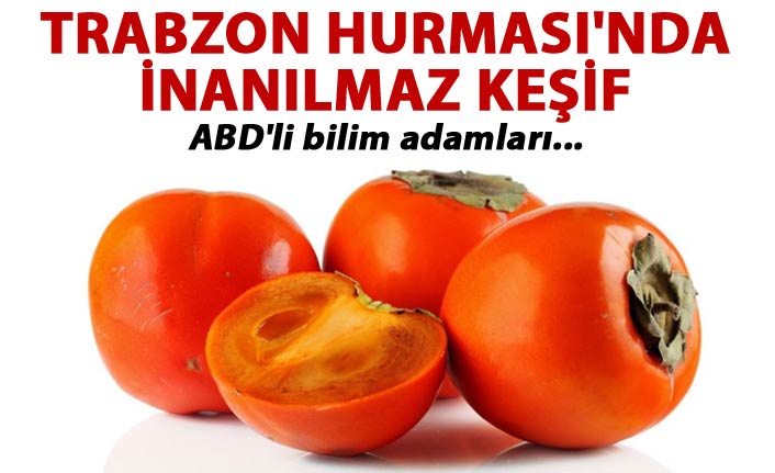 Trabzon Hurması'nda inanılmaz keşif - ABD'li bilim adamları...