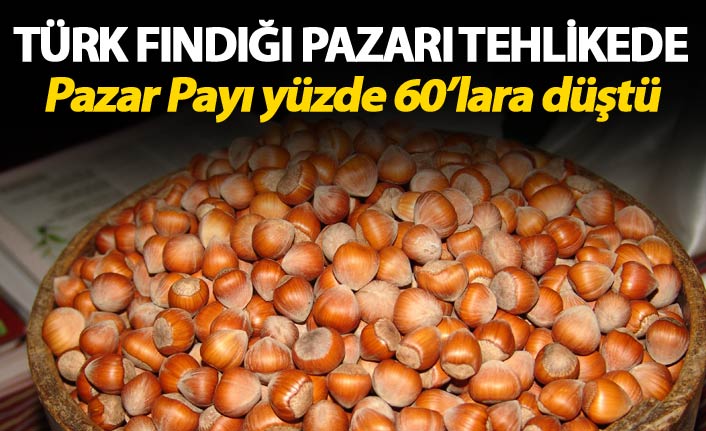 Türk Fındığı pazarı tehlikede