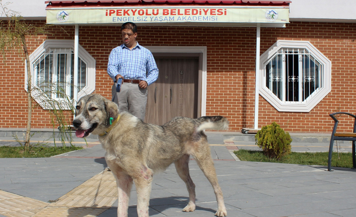 Çöpte bulundu görme engellilere rehber oldu