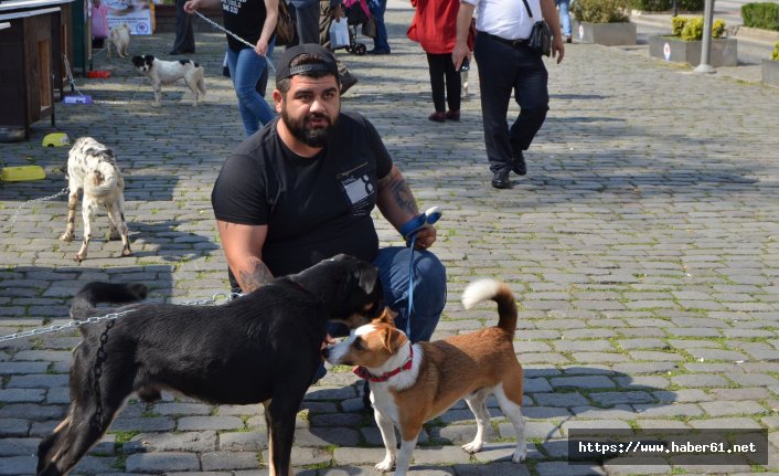 Trabzon'da Hayvanları koruma günü etkinliği