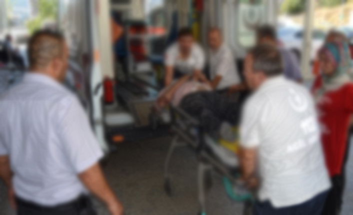 Tomruk yüklü kamyon devrildi