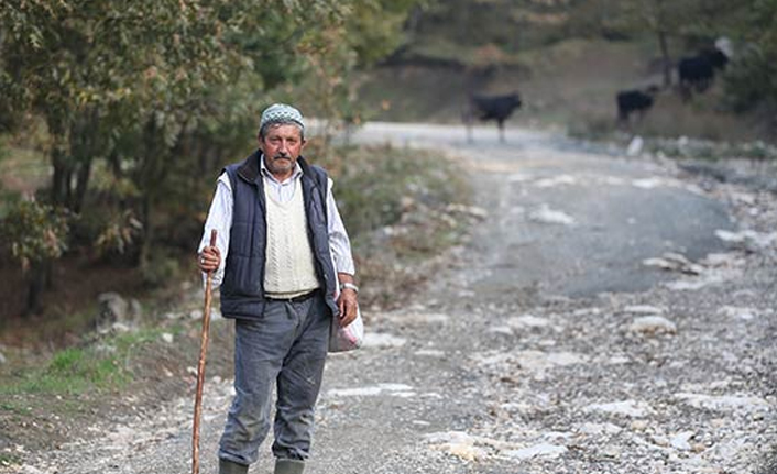 Besicilerin ayı korkusu