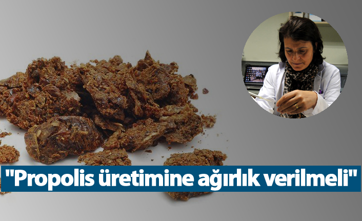 "Propolis üretimine ağırlık verilmeli"