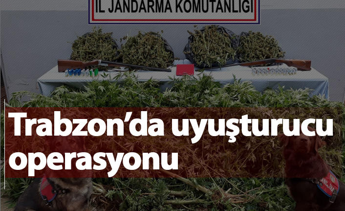 Trabzon'da uyuşturucu operasyonu! 51 kilogram esrar ele geçirildi