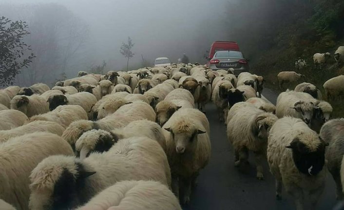 Yaylalardan dönüşler başladı