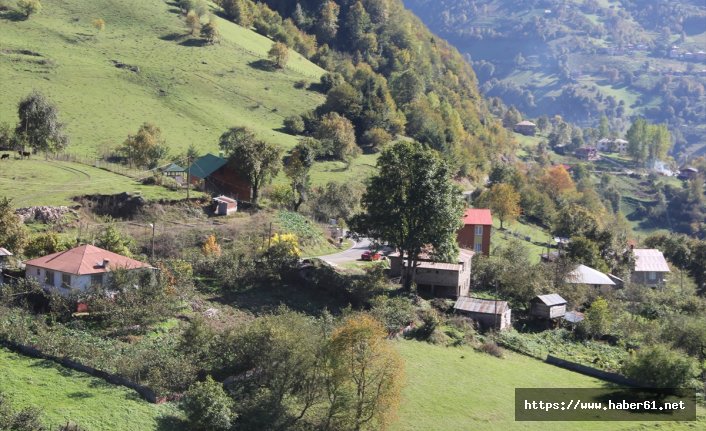 Giresun yaylalarında sonbahar
