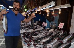 Tekneler de tezgahlar da palamutla dolu