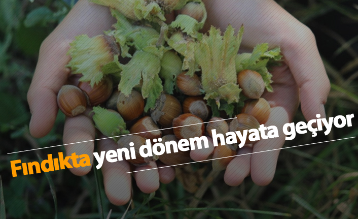 Fındıkta yeni dönem hayata geçiyor