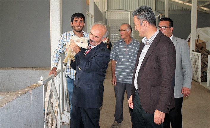 Yöneticiyken hayvancılığa başladı