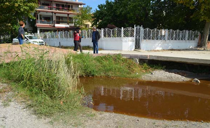 Derenin rengi kızıla döndü