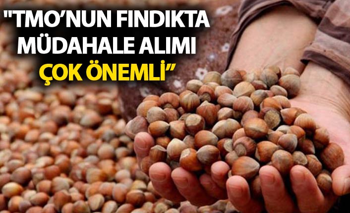 "TMO’nun Fındıkta müdahale alımı çok önemli”