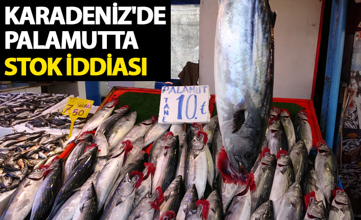 Karadeniz'de palamutta stok iddiası