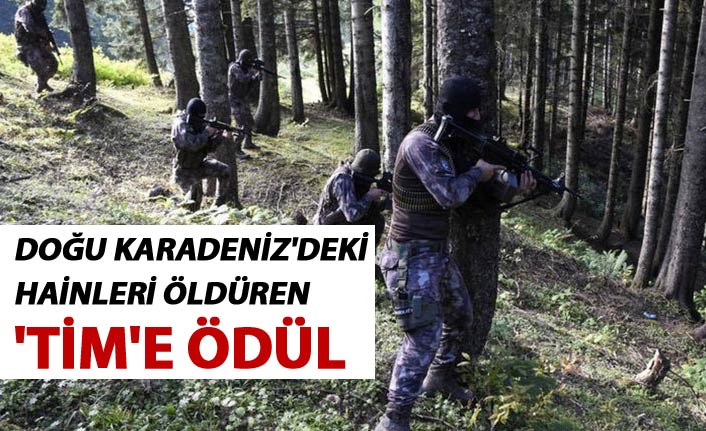 Doğu Karadeniz'deki hainleri öldüren 'Tim'e ödül