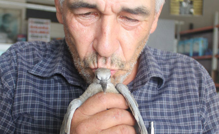 Kapıda bulduğu gugukçuk kuşuyla dost oldu