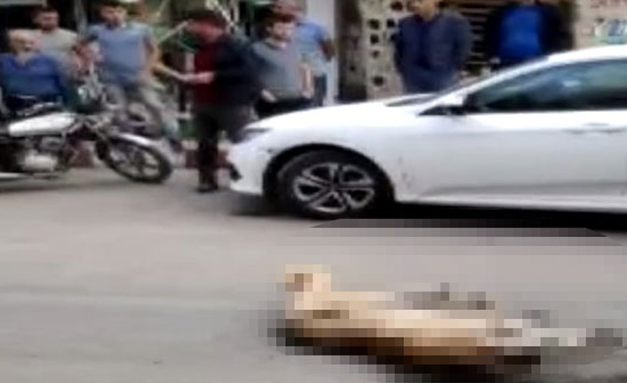 Mardin'de kan donduran görüntü