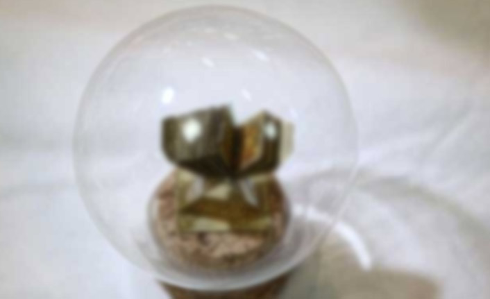 Dünyanın en küçük Kur'an-ı Kerim'i görücüye çıktı