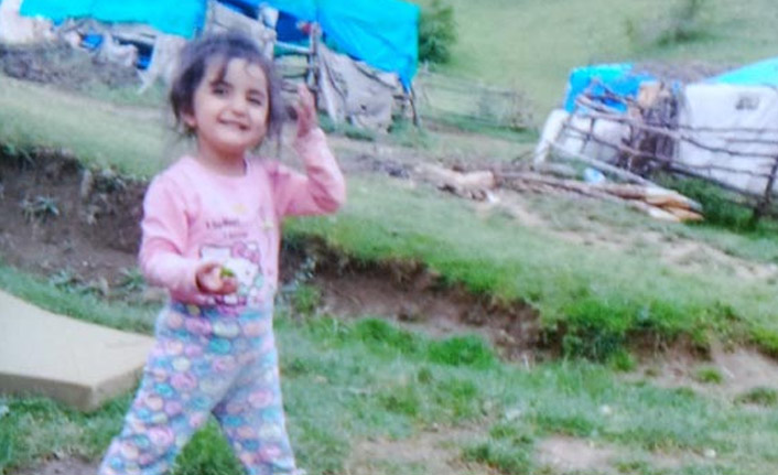Küçük kızdan 100 gündür haber alınamıyor