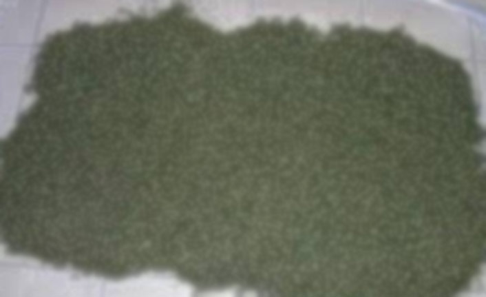 Arı kovanlarında esrar ele geçirildi