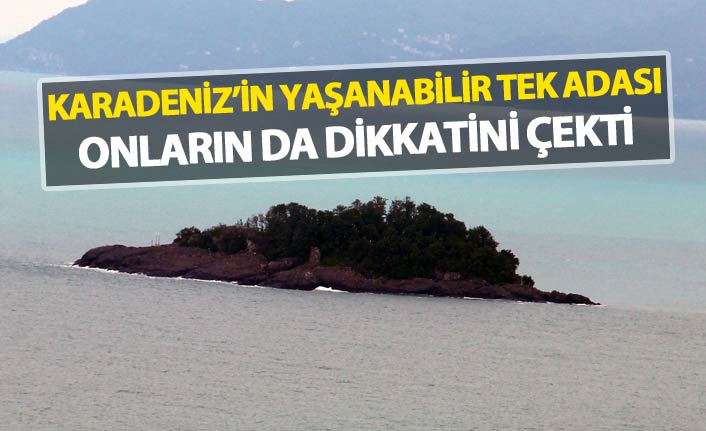 Karadeniz'in yaşanabilir tek adası onların da dikkatini çekti
