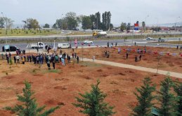 Trabzon'da her muhtar için bir ağaç