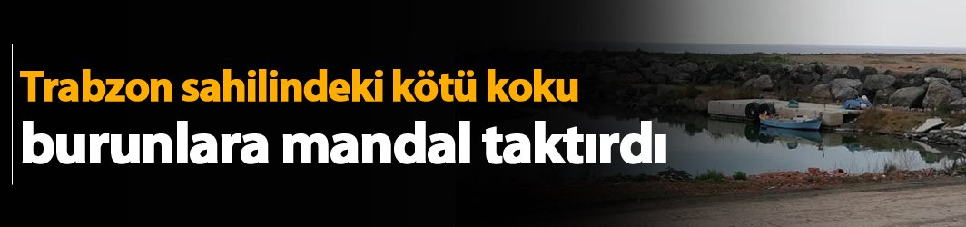 Trabzon sahilindeki kötü koku isyan ettirdi