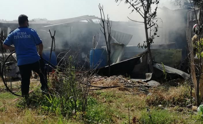 Yangın hayvanları telef etti