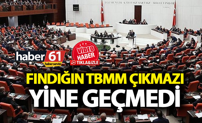Fındığın TBMM çıkmazı - Yine geçmedi