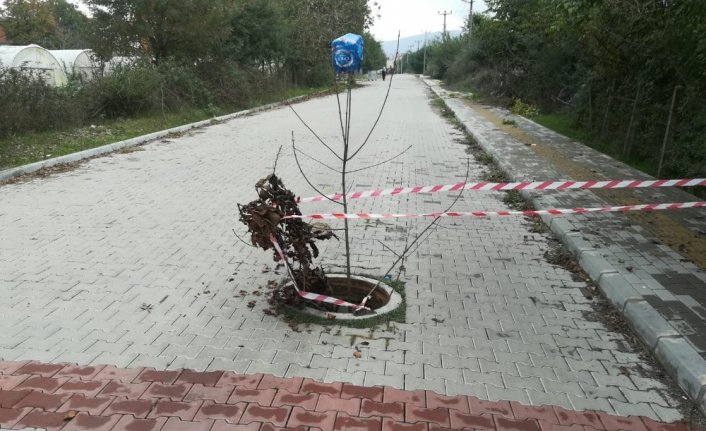 18 yaşındaki hırsız yakalandı