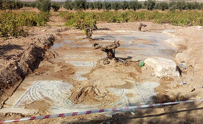 Tesadüfen bulunan mozaikler koruma altına alındı