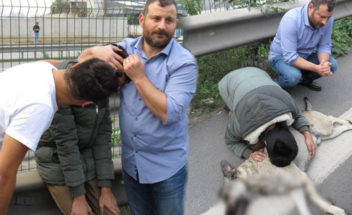 Köpeği ölen çocuk gözyaşlarına boğuldu