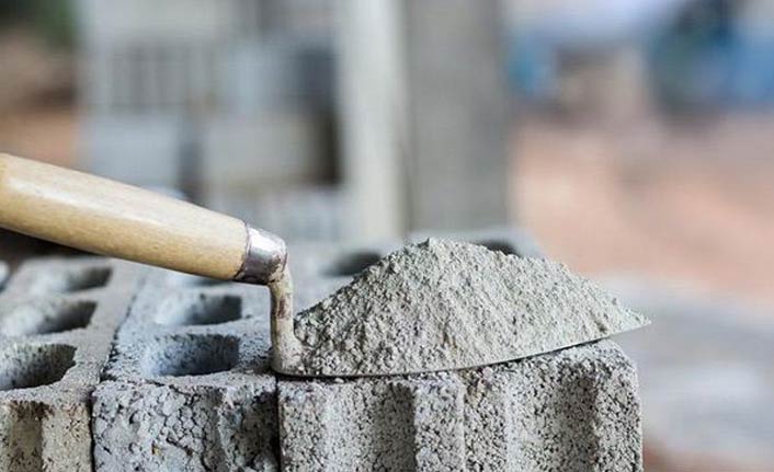 Türk Devine ortak geldi