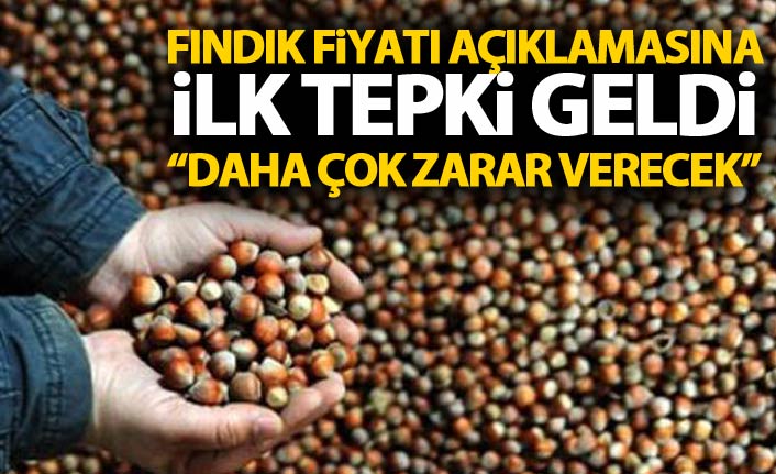 Fındık fiyatın açıklamasına ilk tepki geldi