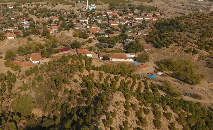 Manisa'daki ağaçlandırma çalışması erozyonu engelledi