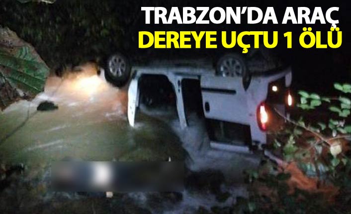 Trabzon'da araç dereye uçtu - 1 Ölü