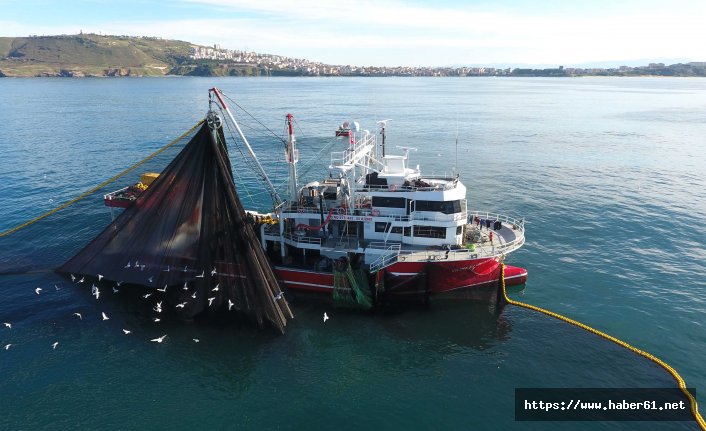 Karadeniz'de hamsi sezonu başladı