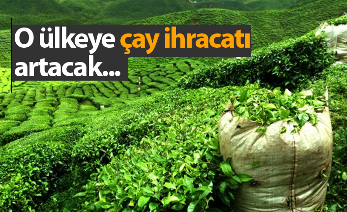 O ülkeye çay ihracatı artacak