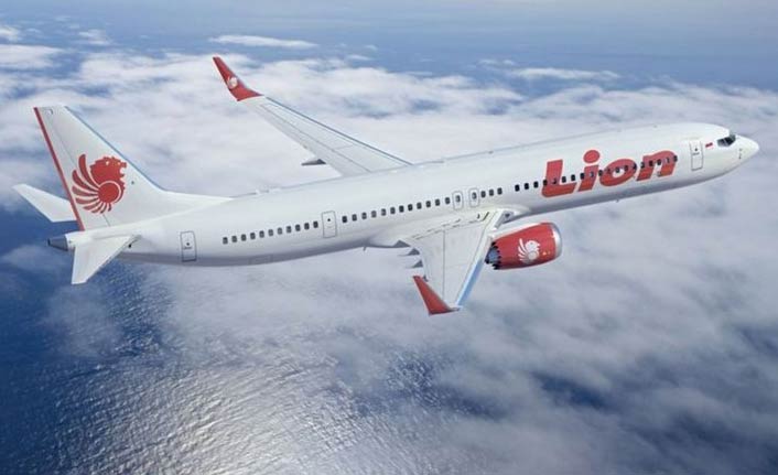 Endonezya'da Boing Yolcu uçağı düştü