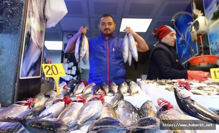 Palamut yavaş yavaş çekiliyor, umutlar hamside 