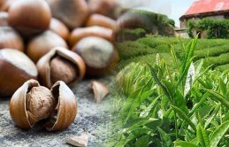 Türk fındığı ve çayı Paris'te tanıtıldı