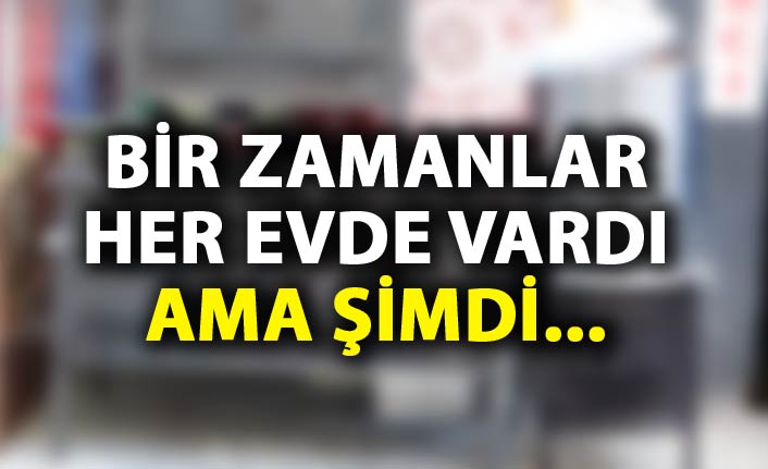 Bir zamanlar her evde vardı ama şimdi...