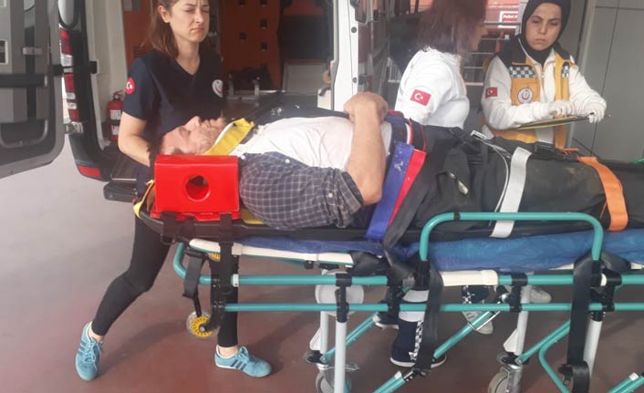 Ağaçtan düşen adam yaralandı