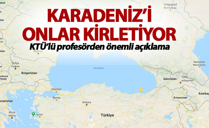 "Karadeniz'i kirleten Avrupa'dan gelen nehirlerdir"