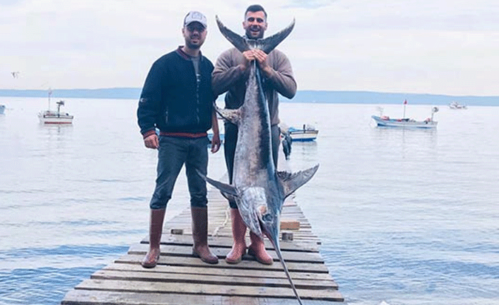 Tuttukları balığı görünce hayrete düştüler