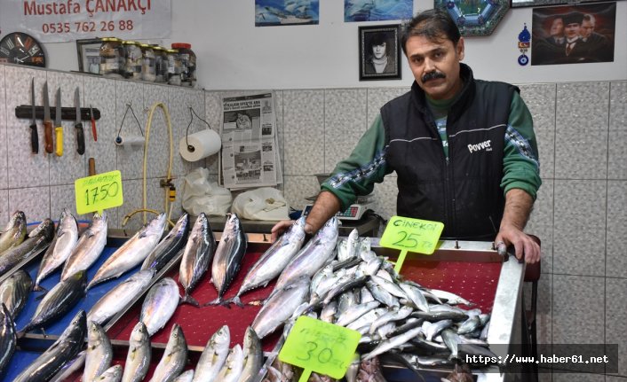 Trabzonlu balıkçılar hamsiden umudunu kesti!