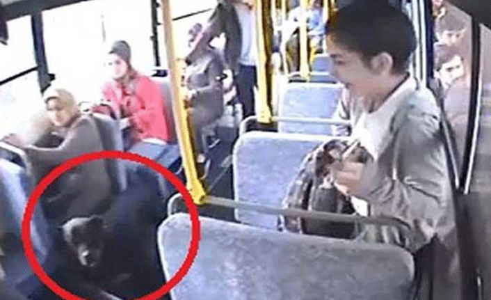 Halk otobüsünde panik anlar yaşandı