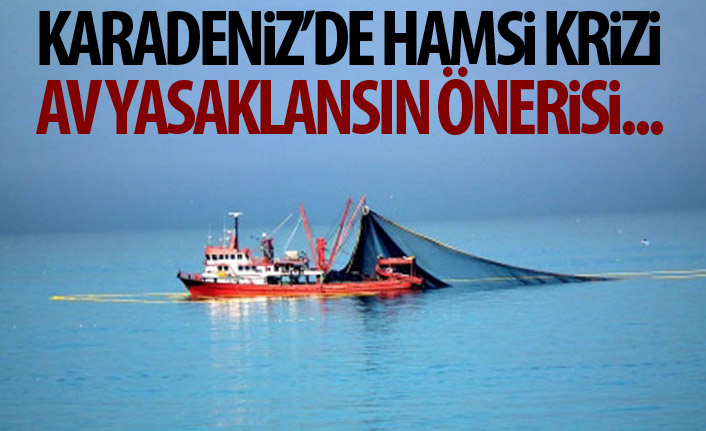 Karadeniz'de  ‘Hamsi’ kriz seviyesine ulaştı 