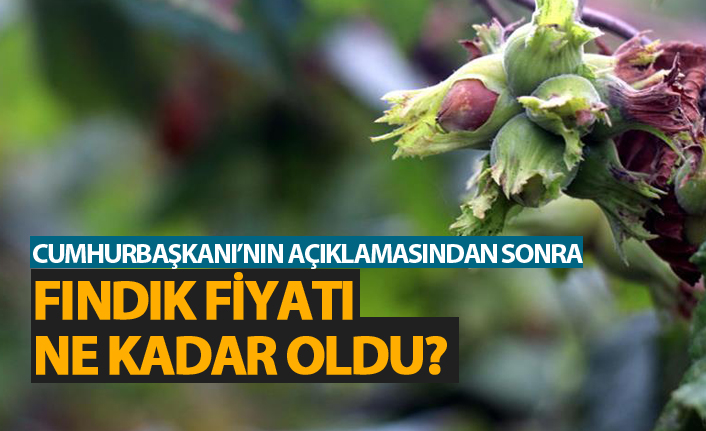 Cumhurbaşkanı'nın açıklamalarından sonra fındık fiyatı ne kadar oldu?