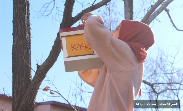 Trabzon'dan okumak için Ağrı'ya gitti! Kuşlar üşümesin diye çalışıyor!