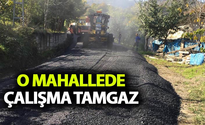 Trabzon'da O mahallede çalışma yapıldı