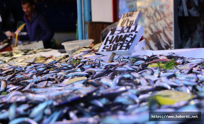 Yerli hamsi tezgahlardaki yerini aldı 